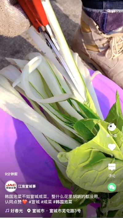 韩国泡菜不如宣城咸菜